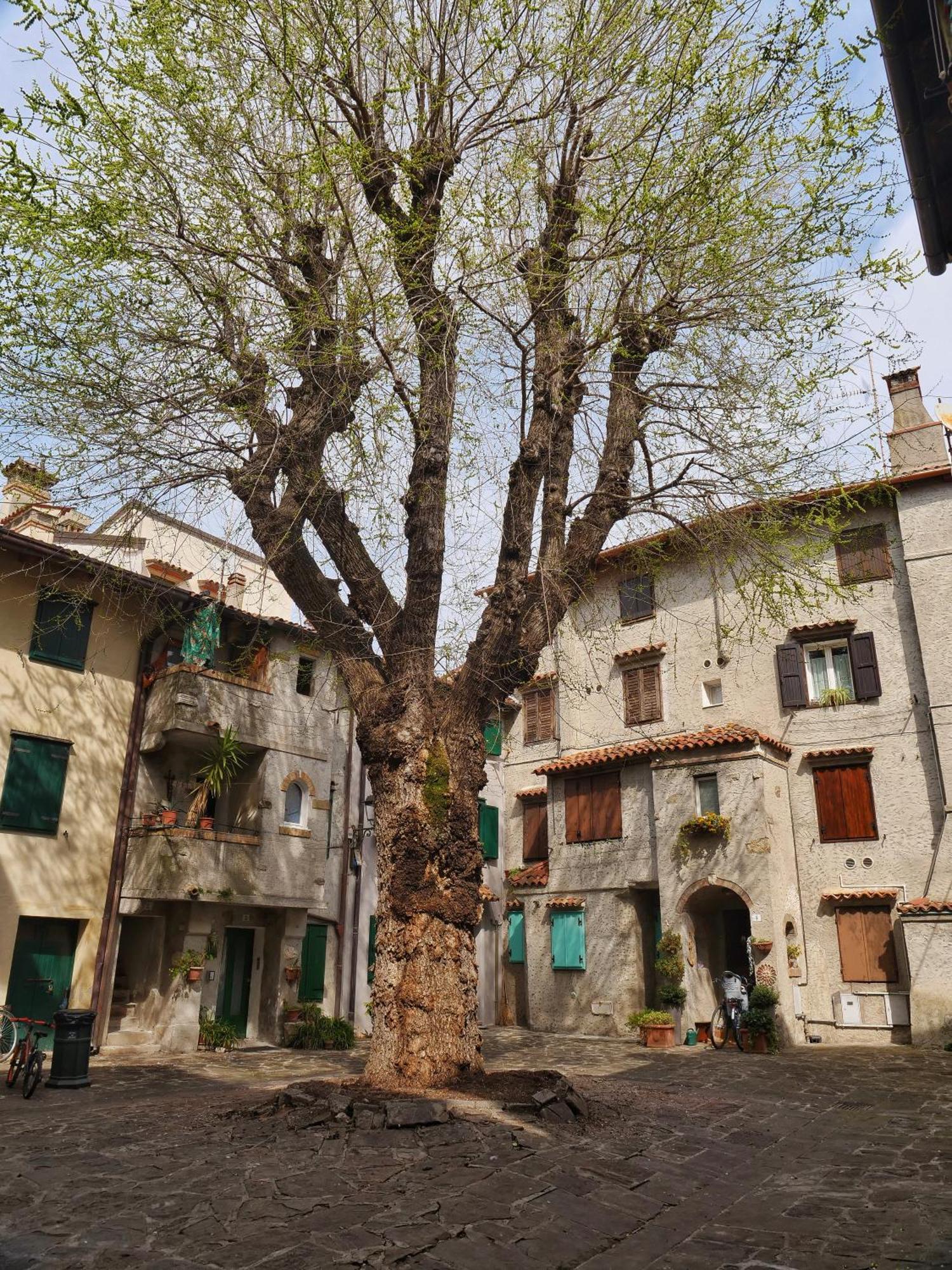 Casa Vianella - Romantico Monolocale Per Vivere Come Una Volta Grado Ngoại thất bức ảnh